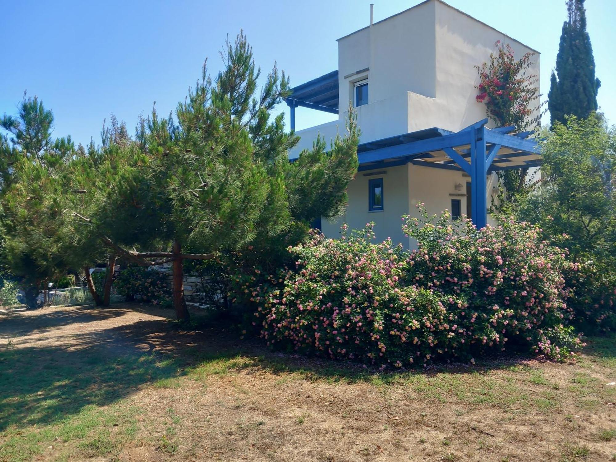 Βίλας Κέδρος Άγιος Προκόπιος Εξωτερικό φωτογραφία