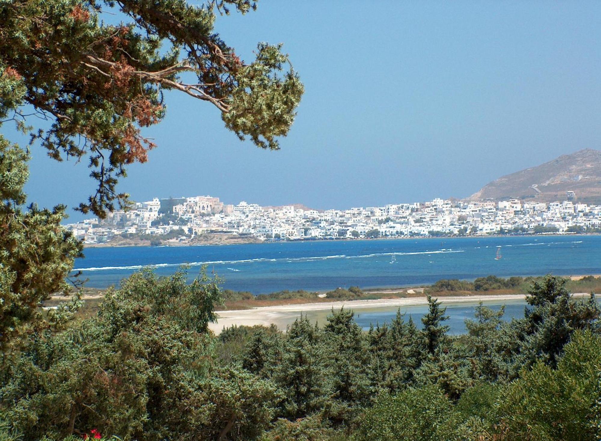 Βίλας Κέδρος Άγιος Προκόπιος Εξωτερικό φωτογραφία